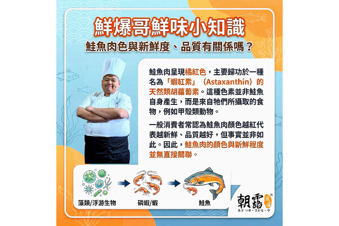 鮮爆哥鮮味小知識-鮭魚