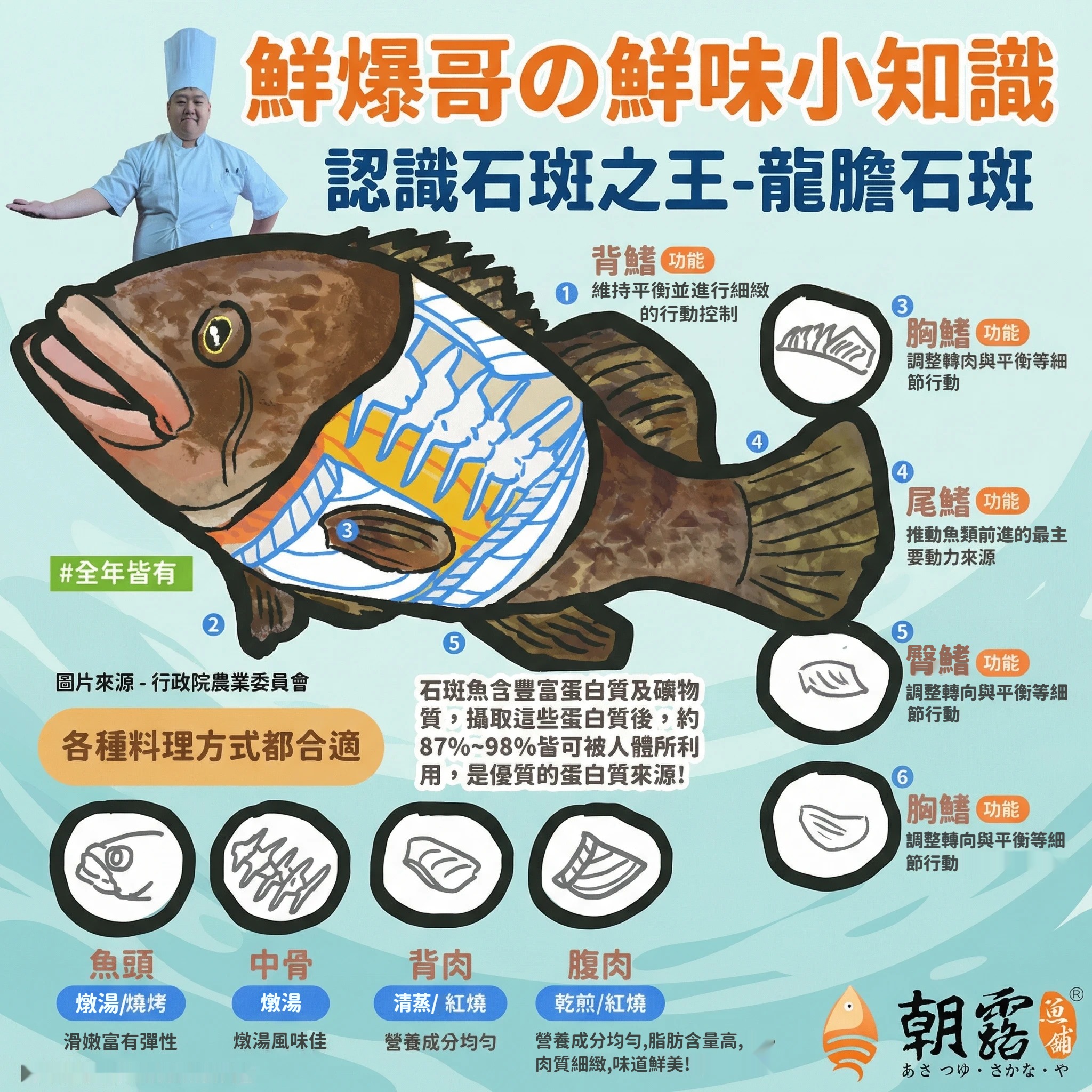 週報05-龍膽石斑2