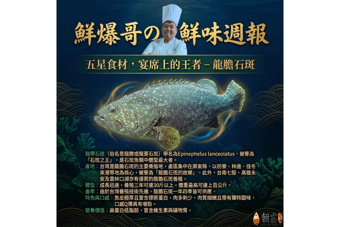 五星食材，宴席上的王者-龍膽石斑