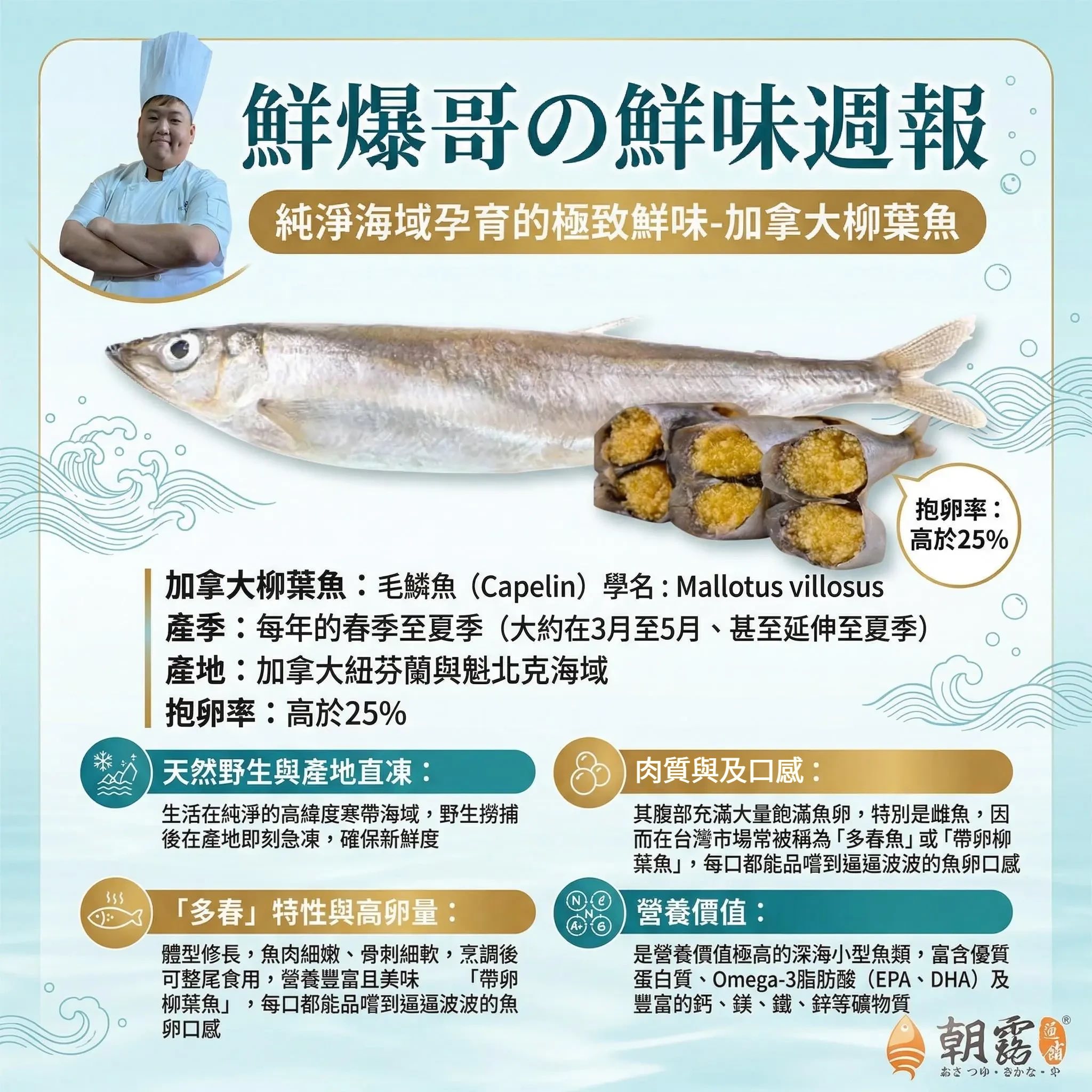 646539149_1525372346262883_1807965414572775781_n