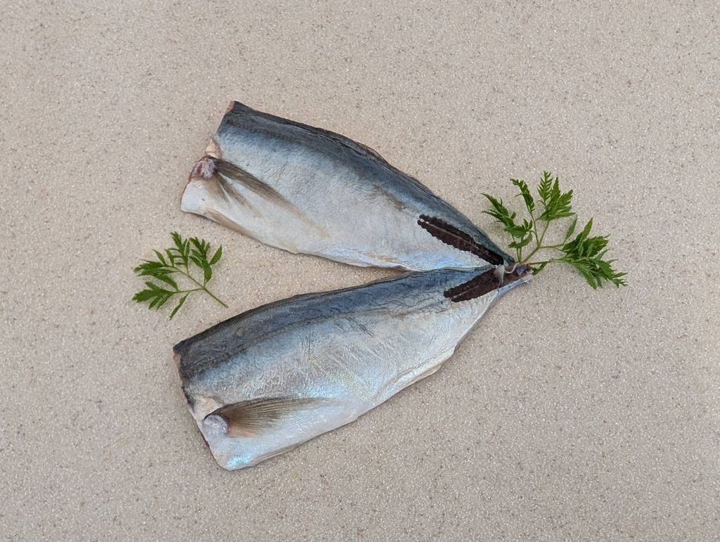 冷凍薄鹽竹筴魚片 300g± 包 20包 6kg 箱-彩袋