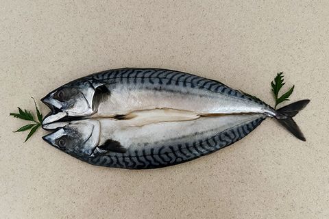 冷凍挪威鯖一夜干13尾00