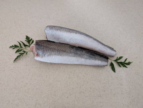 冷凍哈克魚 500g±10% 袋 20袋 10kg 箱-半真空