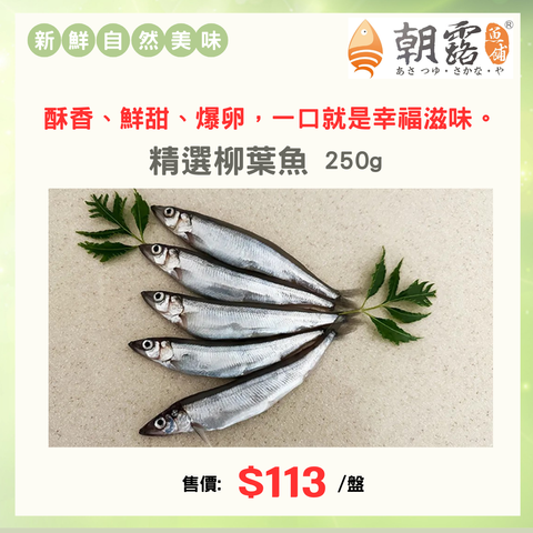 官網產品頁面設計