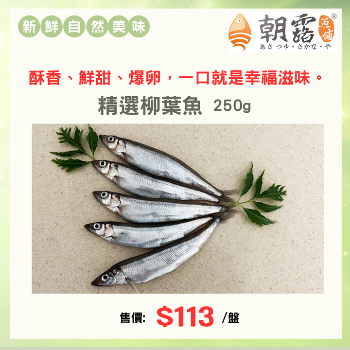 官網產品頁面設計