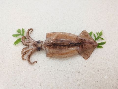 魷魚 一夜干