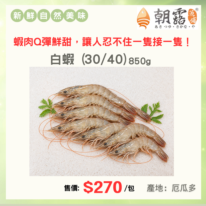 官網產品頁面設計 (30)