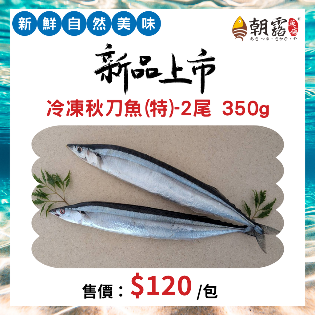 新品上市 (1)