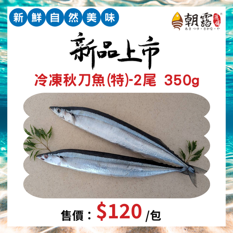 新品上市 (1)