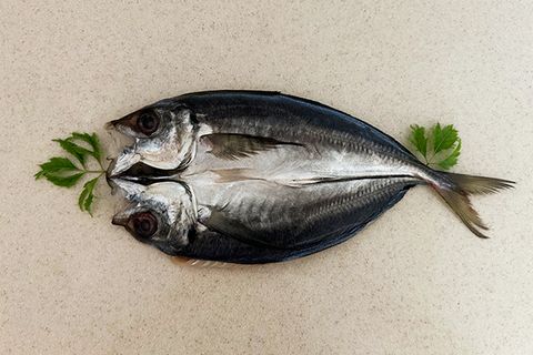 冷凍新一夜干竹筴魚 315g±10 19尾5.98kg箱-彩袋 00