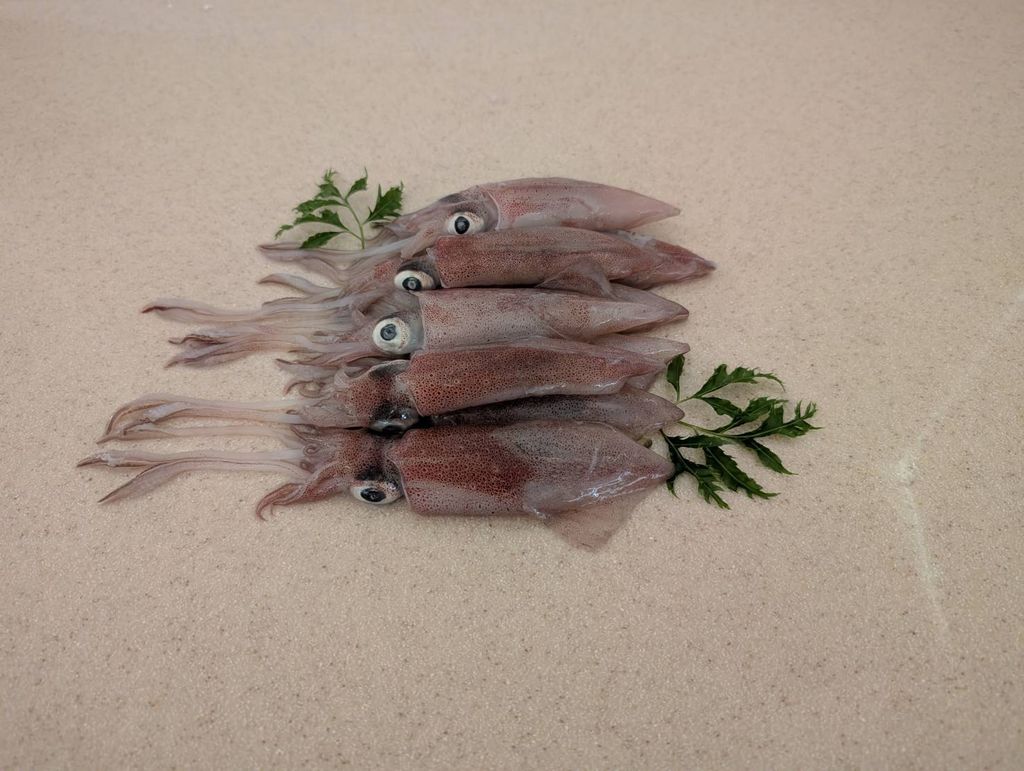 船凍小卷 300g±包 20包6kg箱-彩袋