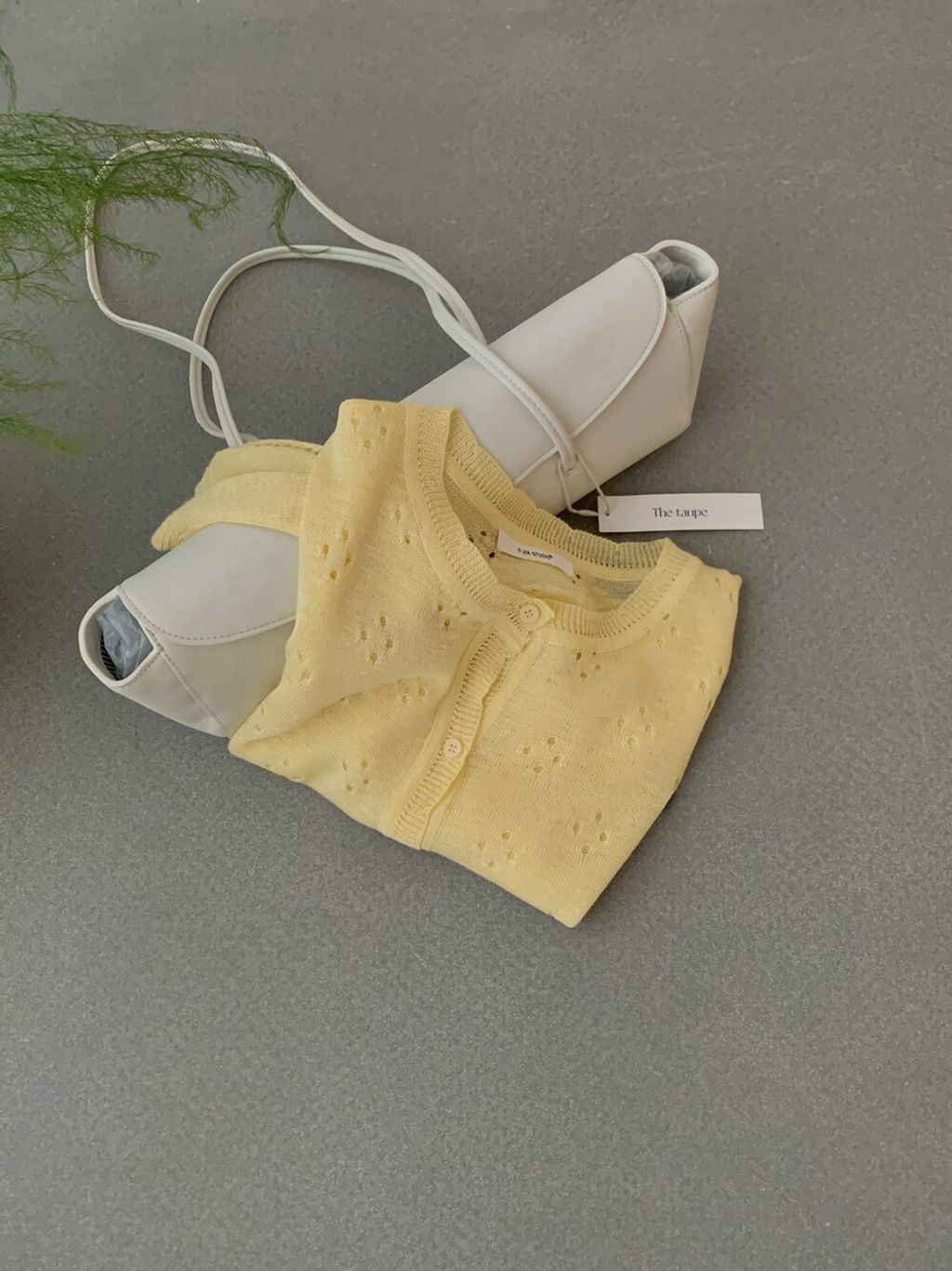 image_2B51B8E6-7A1B-4996-B463-FA4E579A359E_1774542451