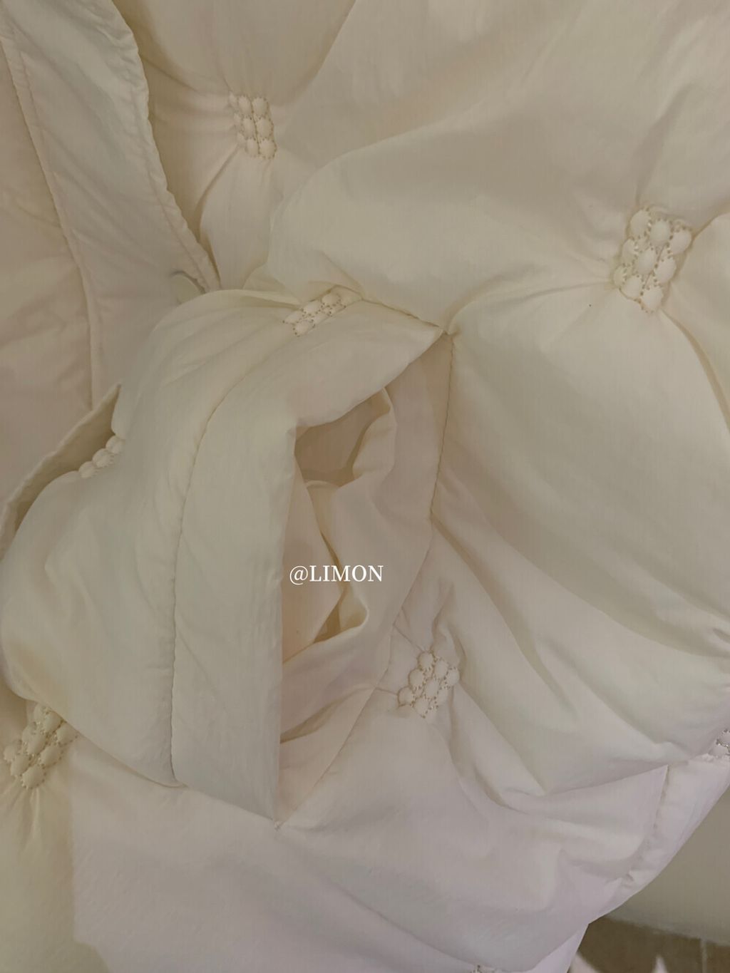 image_88BDEFD4-EAC7-4AD4-BE7F-CDB759A9A6E0_1761558749