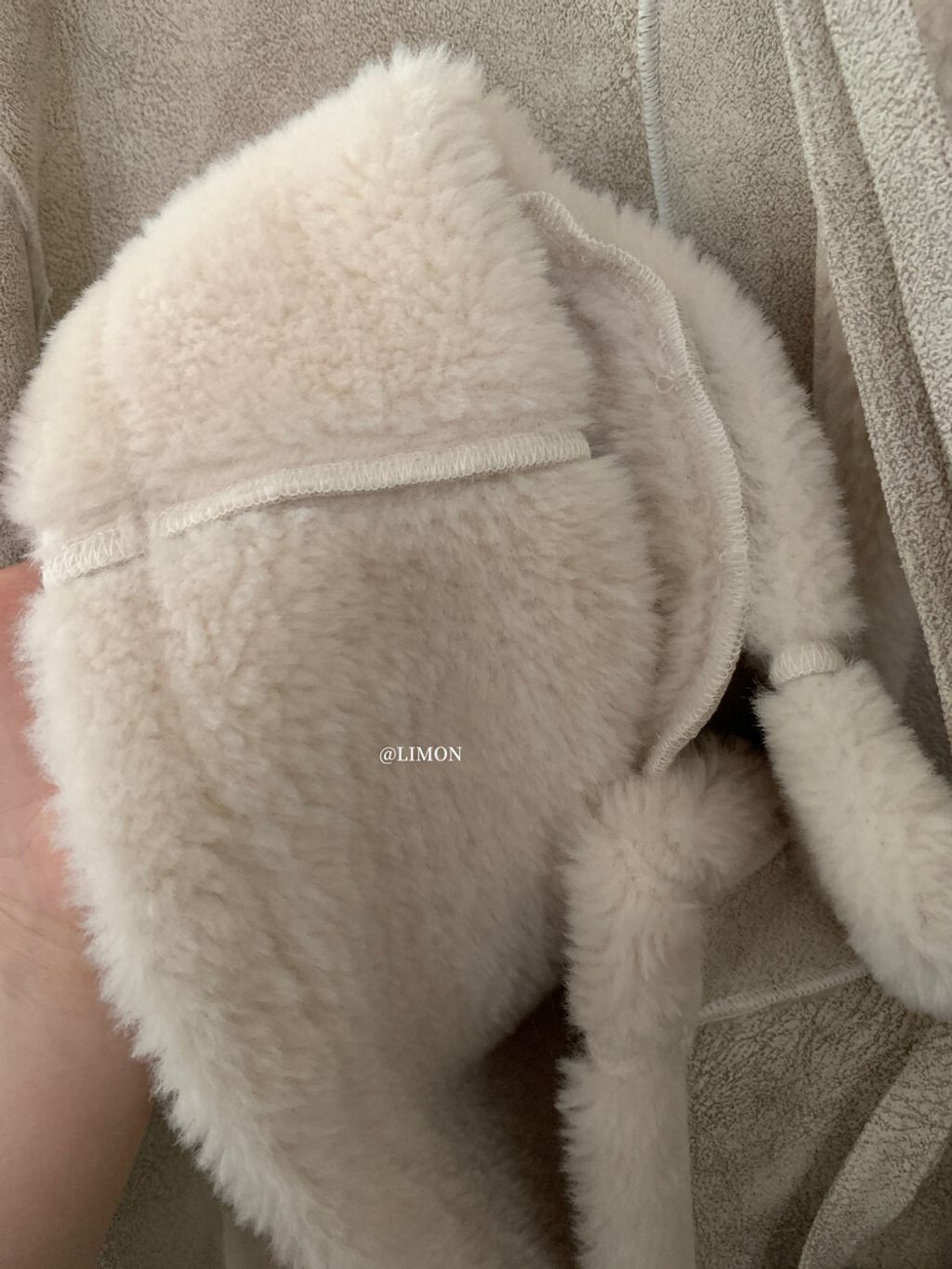 image_EEE3174E-C957-4C88-8AEC-02EB13ED08E2_1762155841