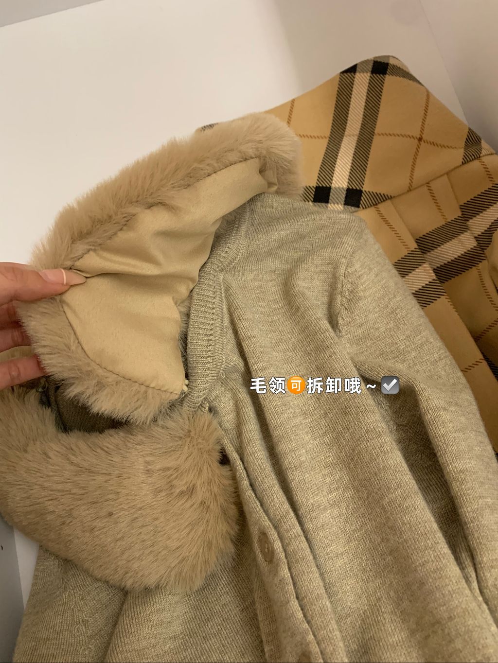 image_3A39BA5A-64AE-428C-AC73-2658666D0A2F_1763469865