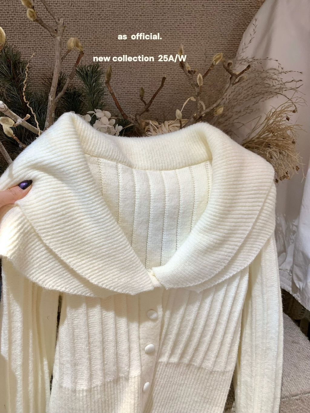 image_B32E5D19-B88E-4963-8533-FE83DEB75E69_1763645144