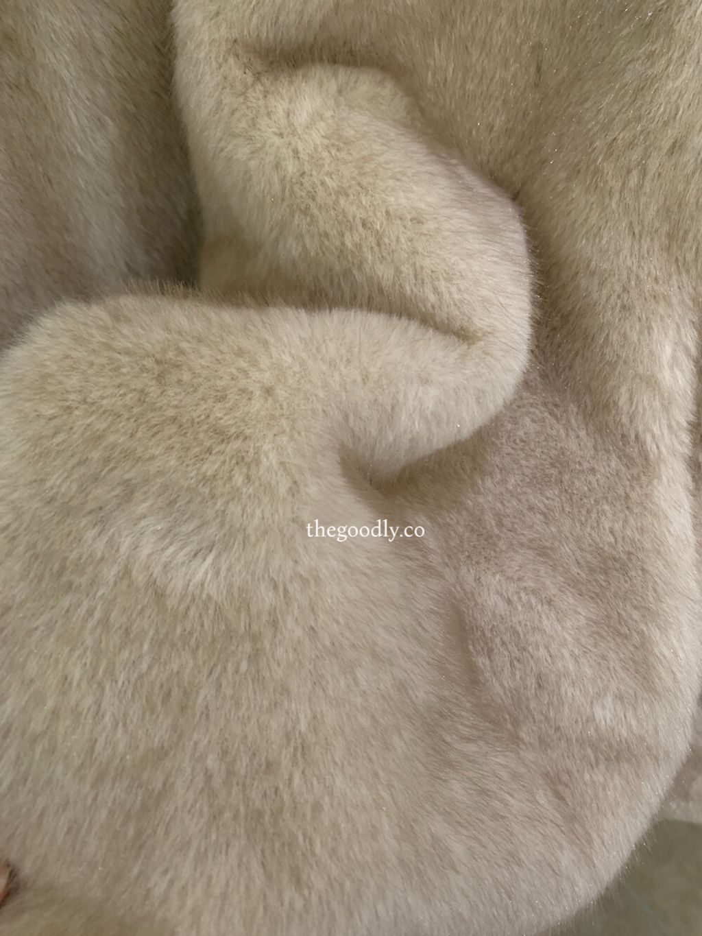 image_BF400537-0907-4ACB-925F-74FD832C6A72_1763750697