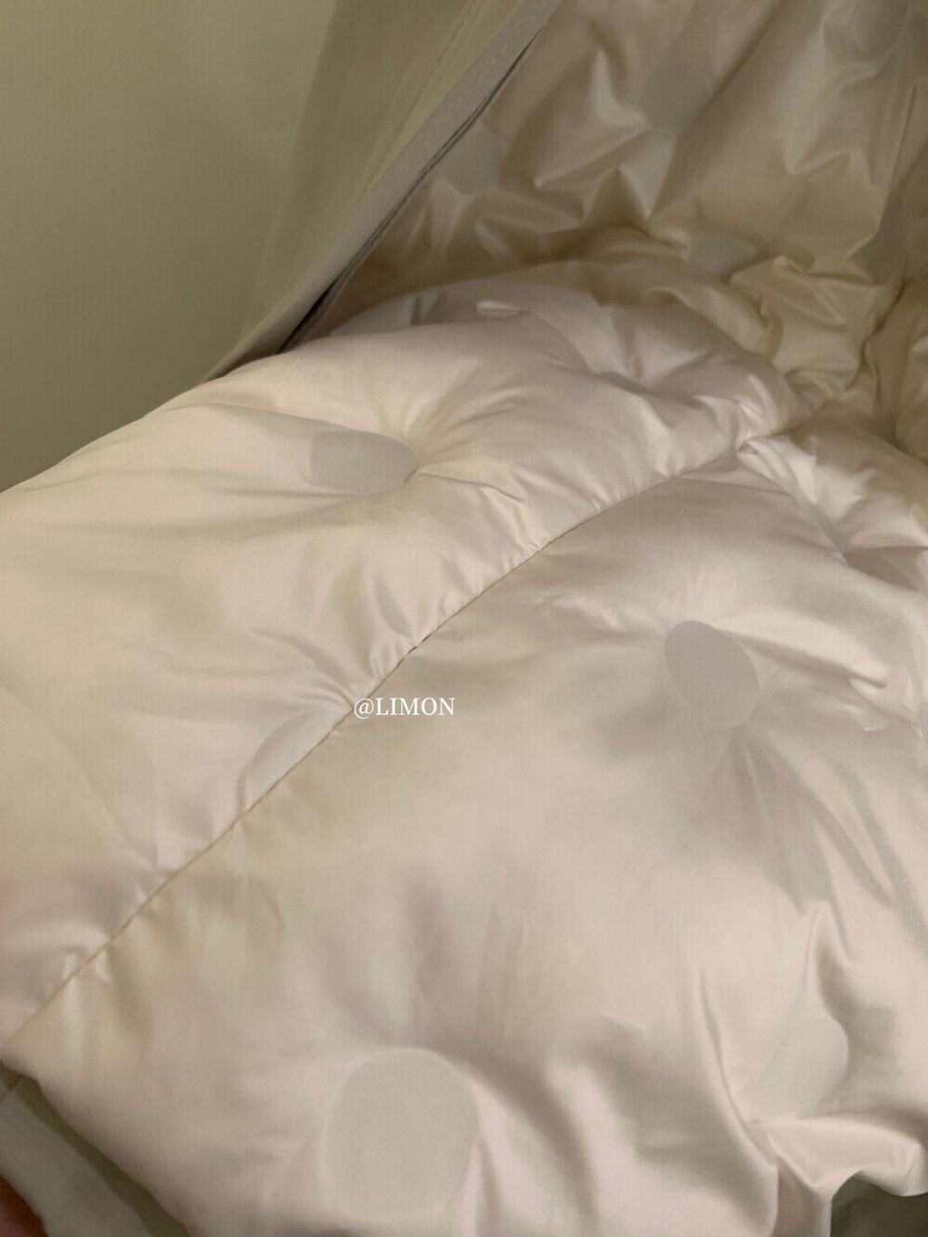 image_48C1B303-B392-4388-A8D3-4BDFA63B0977_1764733200