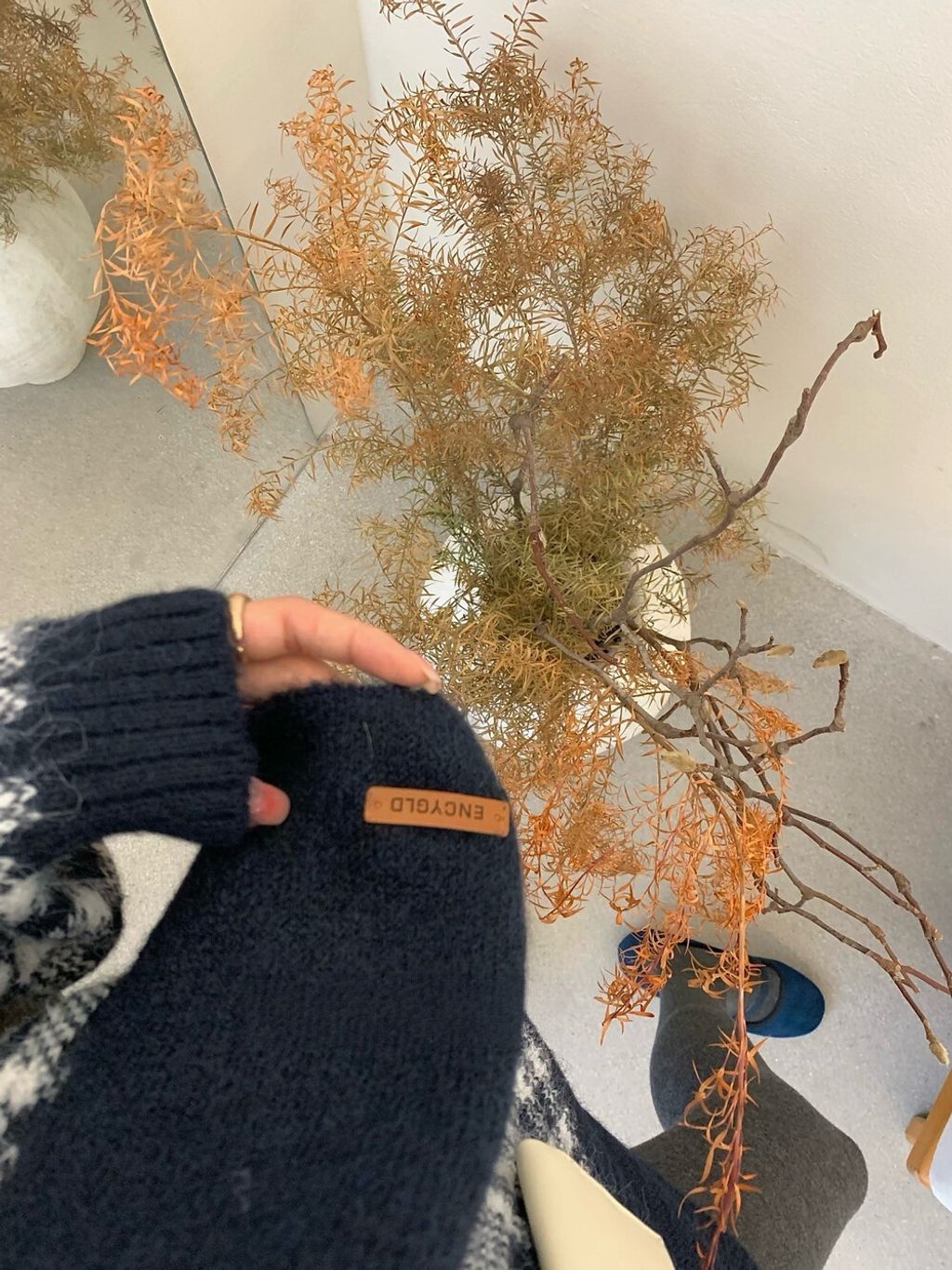 image_218B46FE-463A-41F1-B64F-E37B29161C4B_1765521085