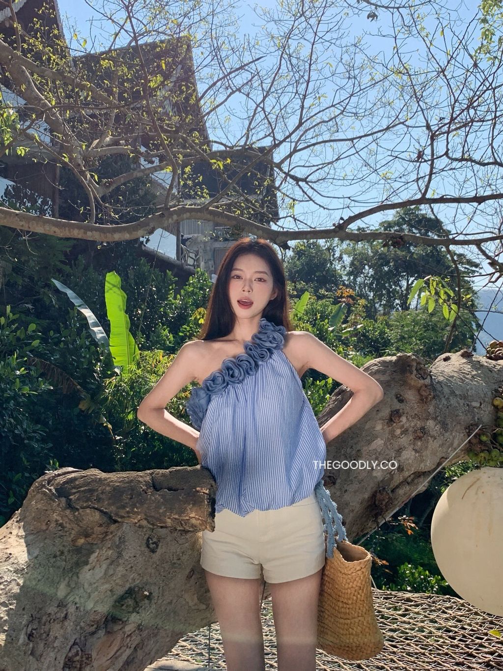 image_985E4D42-55E0-4124-AAB5-F1C741FE886C_1771676215