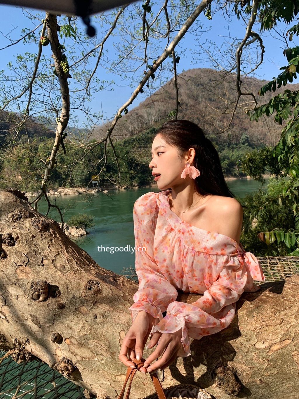 image_F6B0C244-B1D9-4CCE-AA81-70E2AFBE5120_1771693151