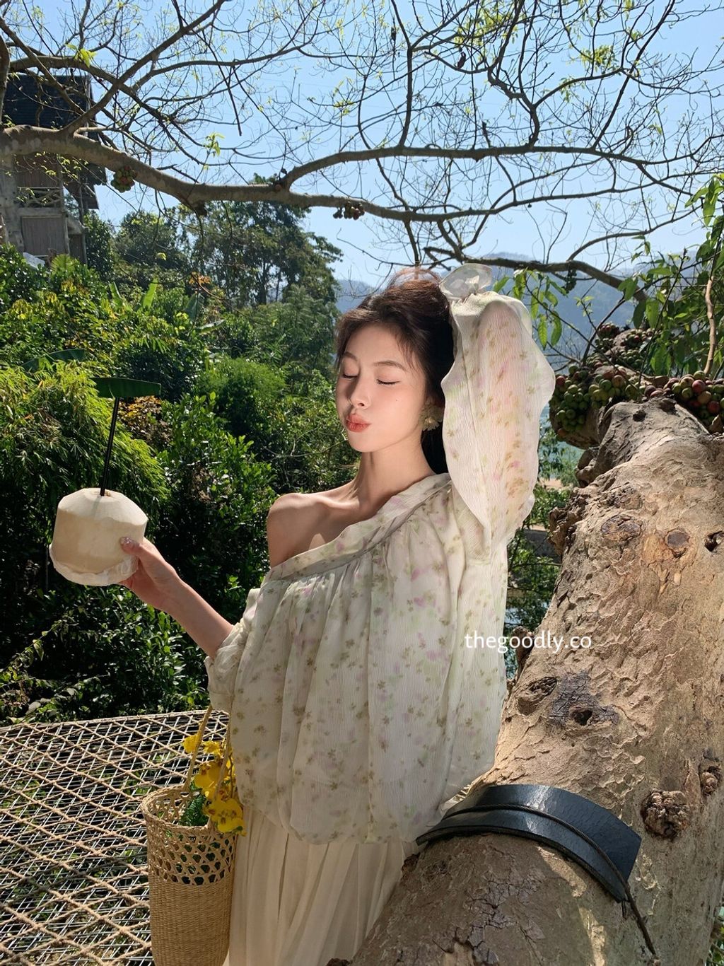 image_D1AF9EAE-9445-4445-B416-3D8B23C47F2A_1771693151