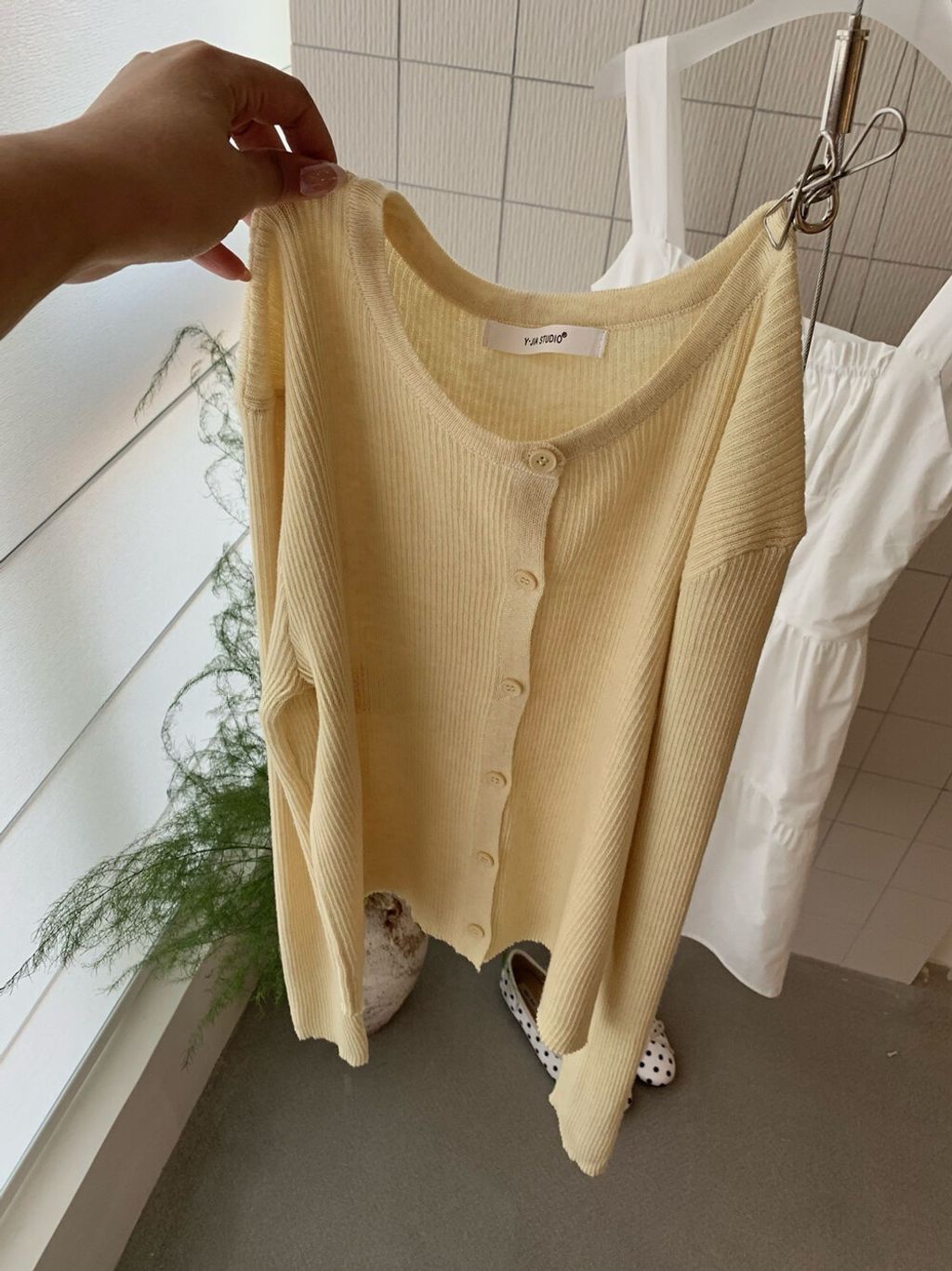 image_12272076-589D-40EB-B1E8-AB81353C5D19_1771780100