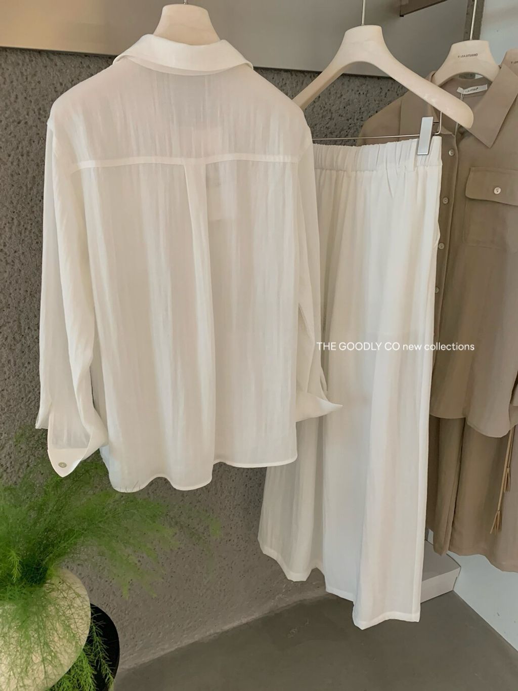 image_905E6A6E-02F1-4691-87F1-CA3CB5692BB2_1771951880