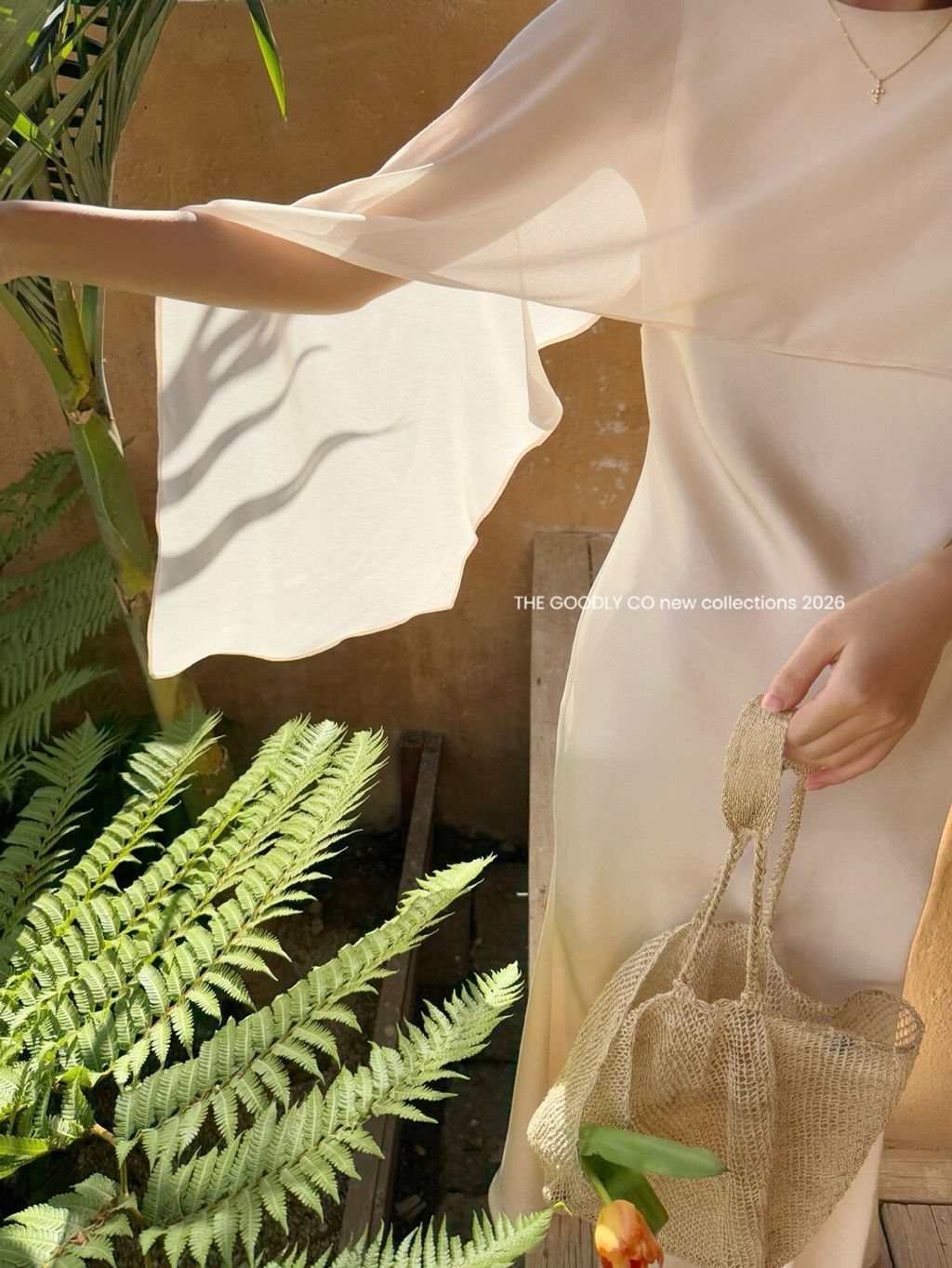 image_D79D9C6B-DE03-4CC0-AEC5-D5F1A4244FDA_1772299402