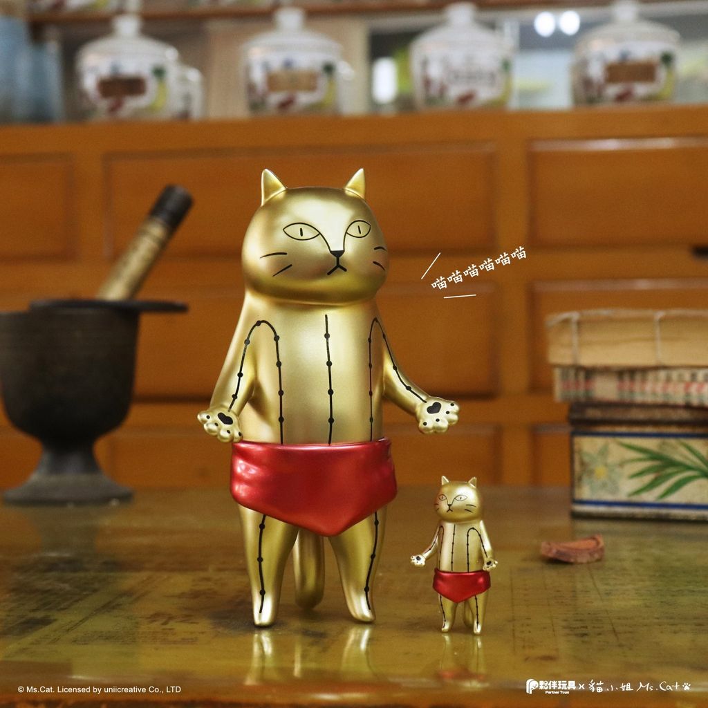 image_7249E123-9B80-4451-B29B-94333A68BDBC_1772532599