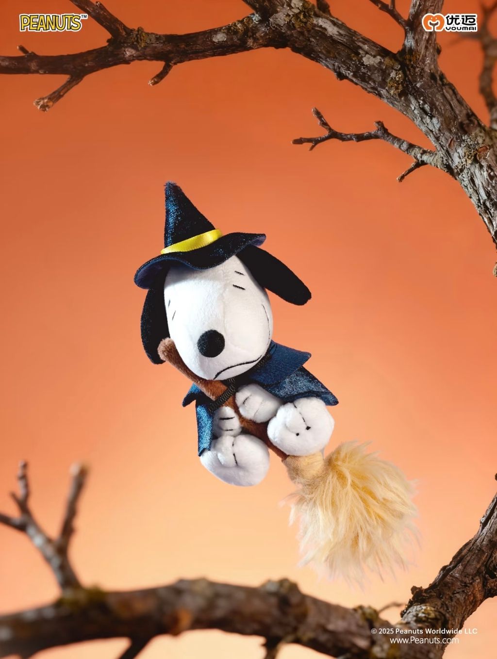 image_07955BDB-E771-493D-BFF3-A96411DC14D5_1773743933