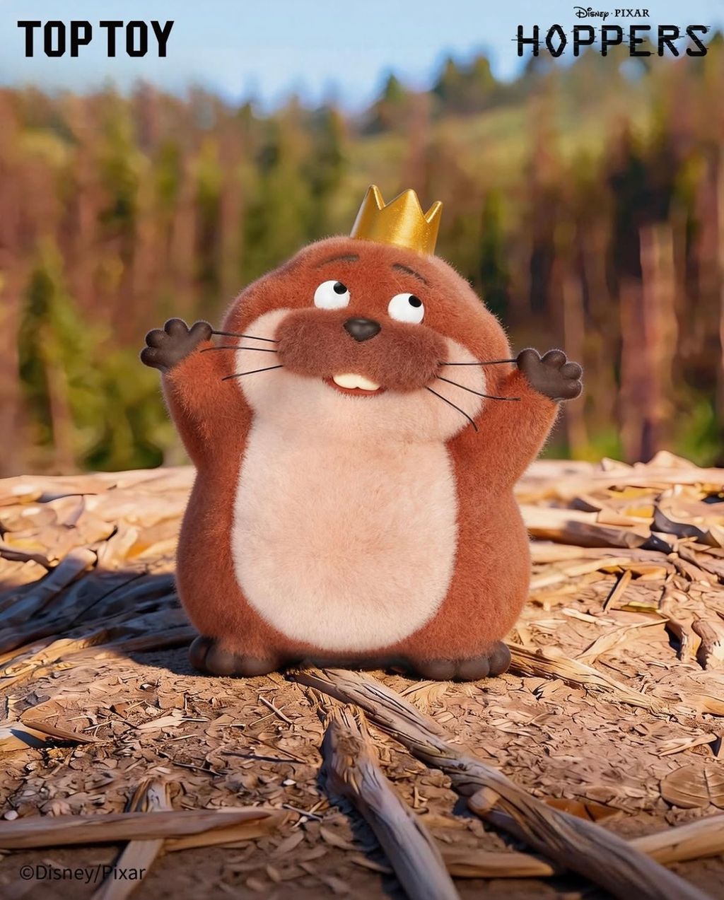 image_6A420258-C6EF-4771-A839-D325601AB34E_1774155201