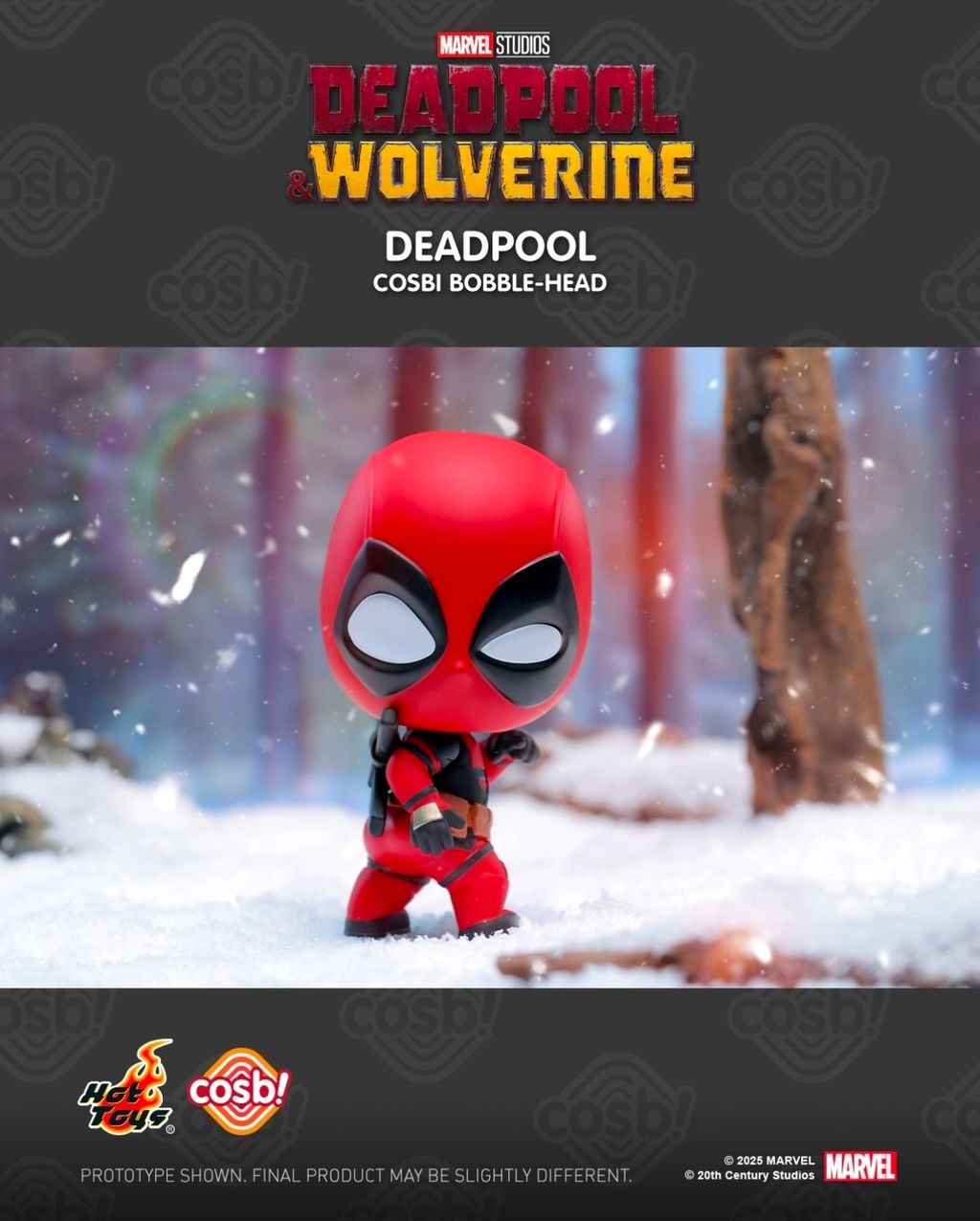 IMG_3293-1738664777957