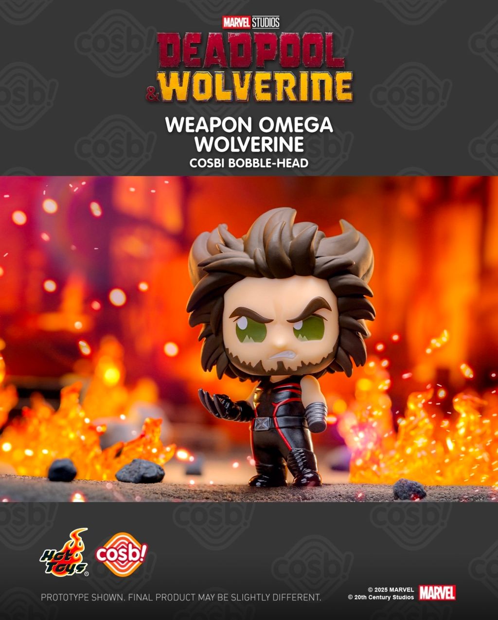 IMG_3295-1738664777953