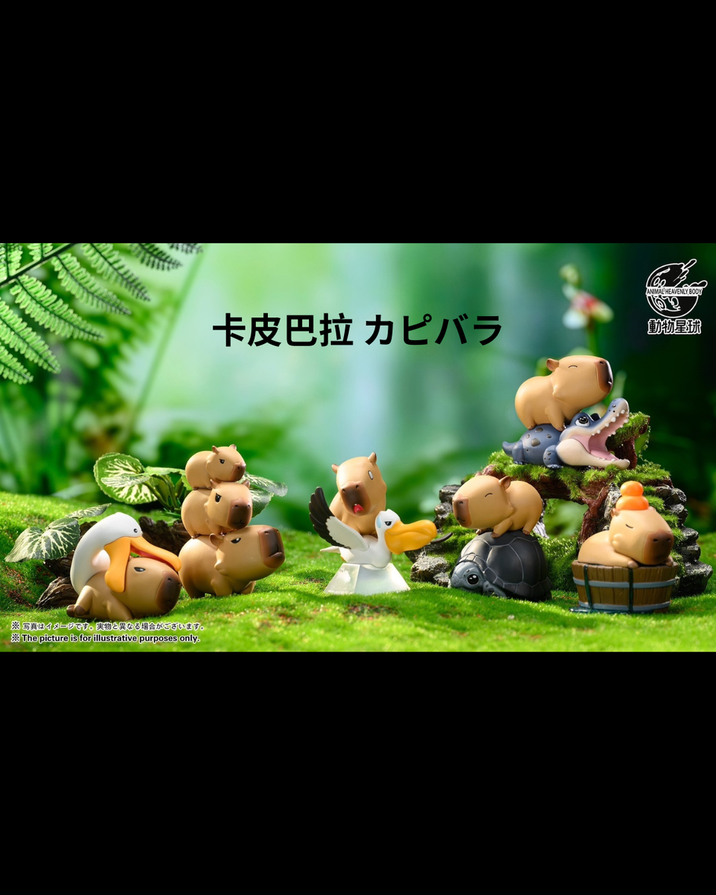 卡皮巴拉.zip - 9-1740322404629