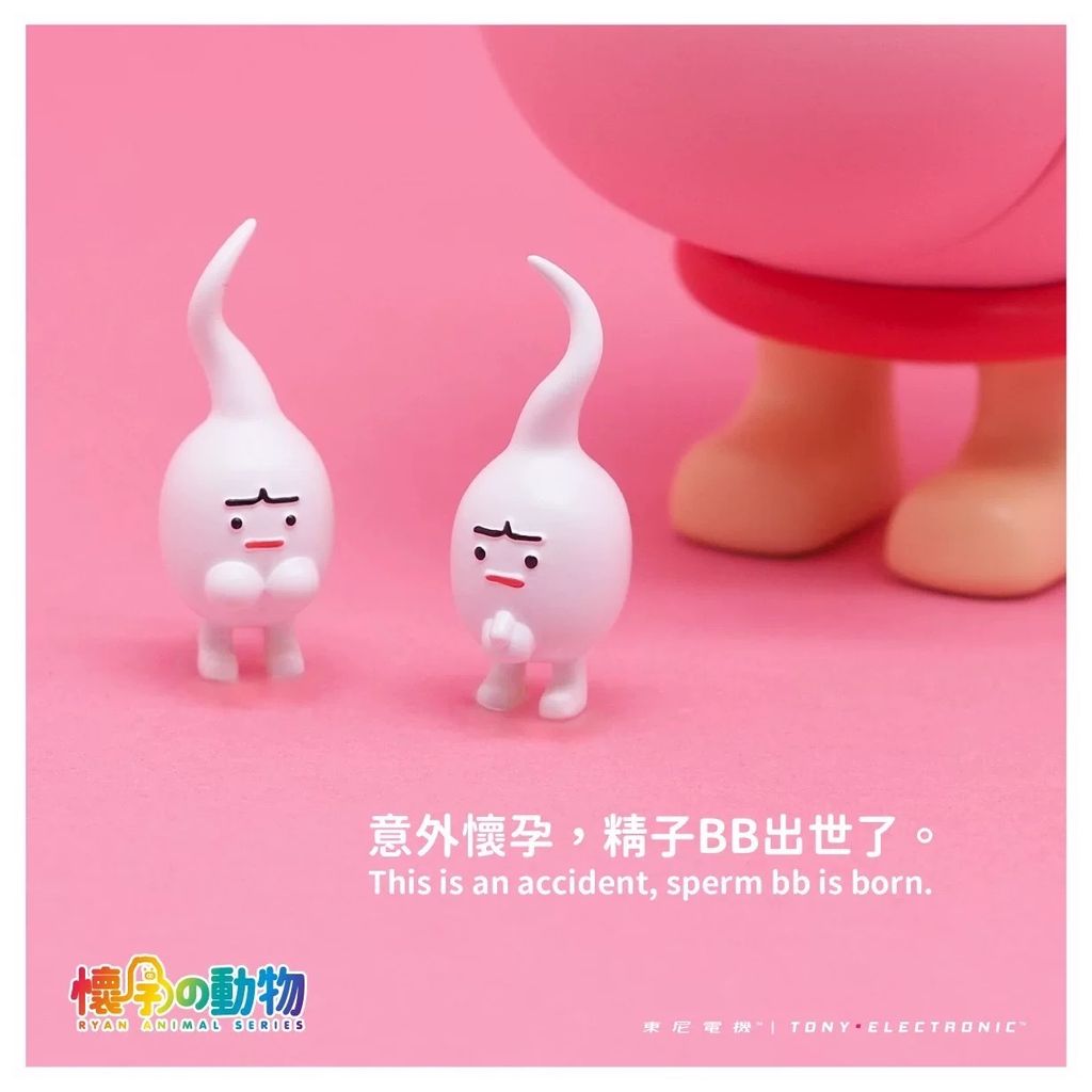 IMG_7193-1741270883688