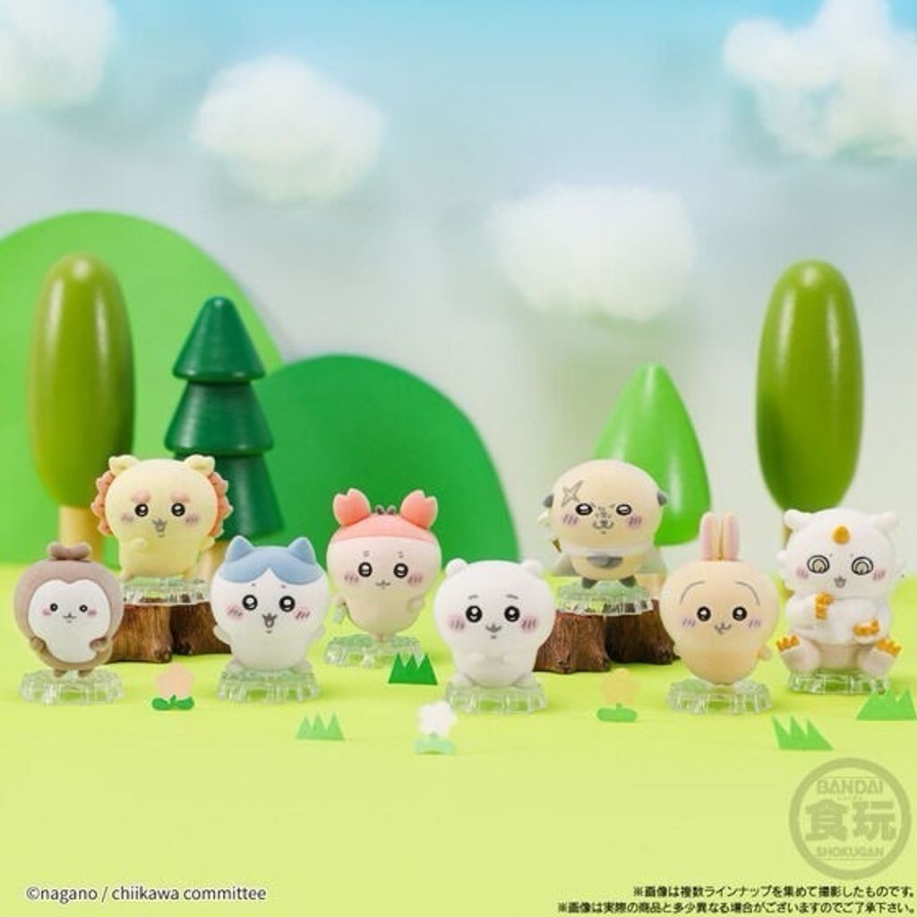 image_A89EA064-5644-4370-A2DD-98BCD4ECFF25_1741536796