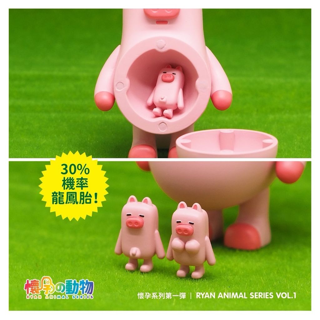 image_CAD19CA2-8476-4EDB-B39A-B7055C86D89F_1741945229