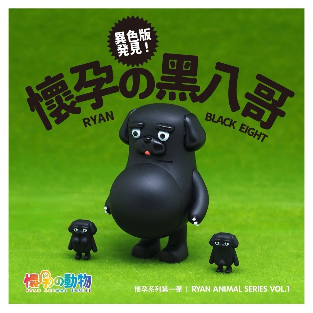 image_A4BD032D-3589-4B89-AC92-CAB3B84CC2C1_1741945229