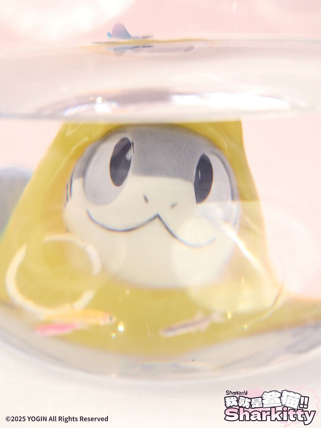 image_C13C20E6-8DB1-4414-9D5B-977FDF1BEC53_1745410209