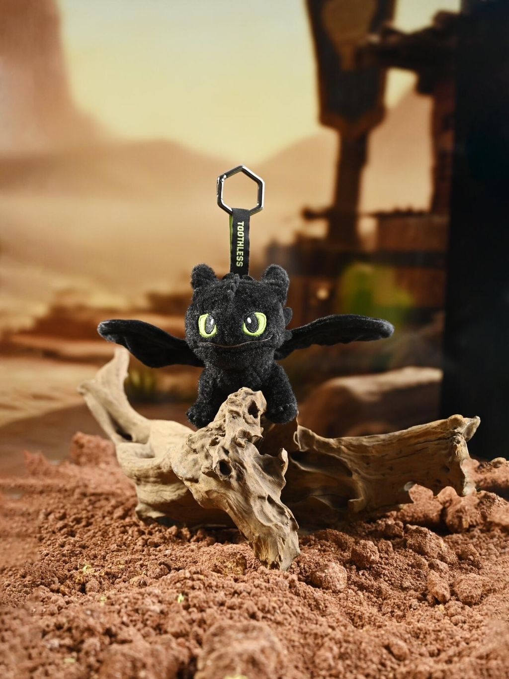 image_C706C6ED-7C71-4759-A4FA-869D1D01F902_1750906025