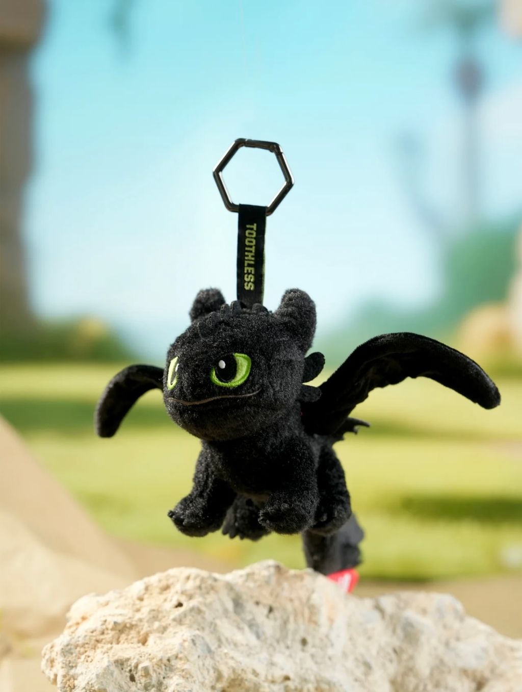 image_C9258EF2-78B8-4213-9A0F-1B6C0B288DDC_1750906025