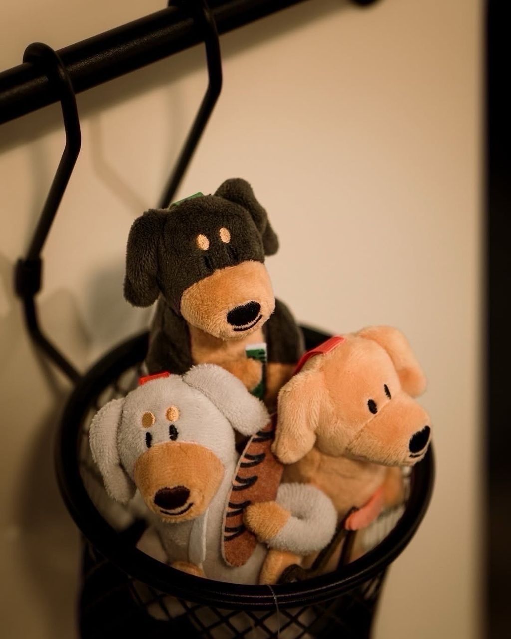 image_FA9C7D0D-1FCB-4D9B-AFB0-2E58BADBE276_1755687209