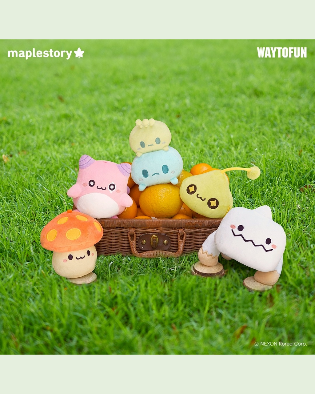 image_B1E50B43-0D5D-4BC6-9A19-F3238B7717D4_1763350376