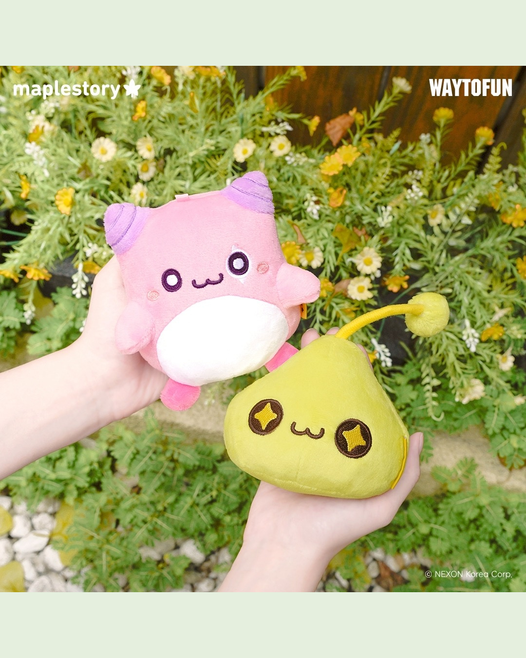 image_0C7D5553-1B9F-47E5-951C-2673C72D80AE_1763350376