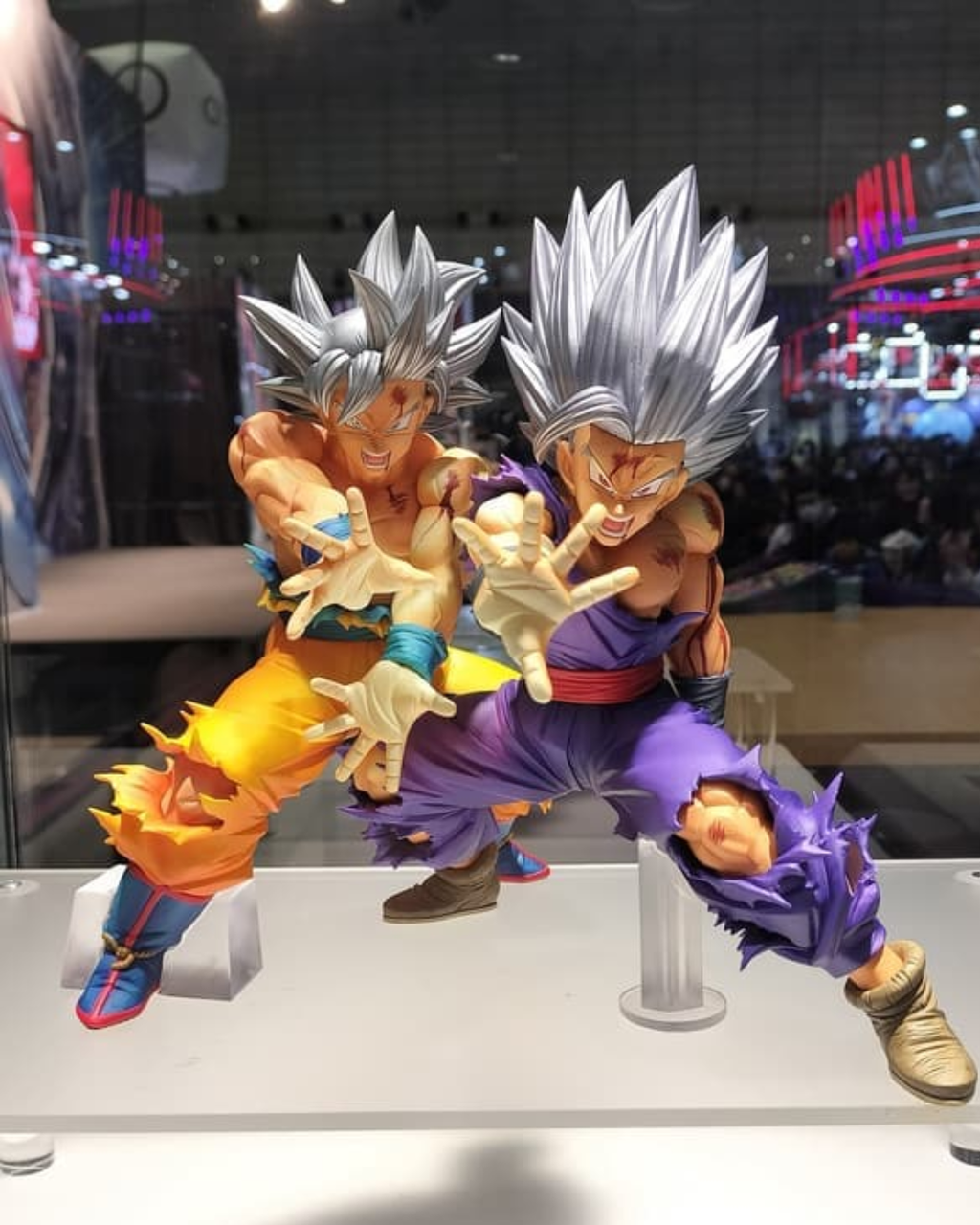 image_689CC9ED-E91C-40A1-A570-FEC14ECD98E5_1766409770