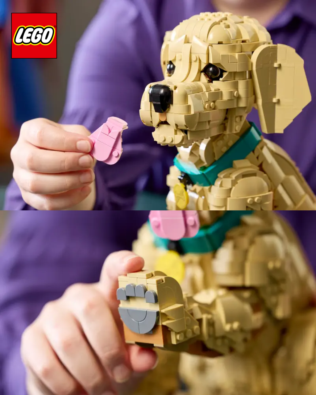 image_680A6D71-8233-4FFE-AFA0-6C0C24472617_1768918984