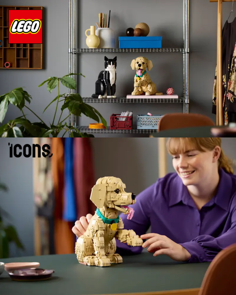 image_522F60E5-828B-4EAC-9746-28F8DBB5681E_1768918984