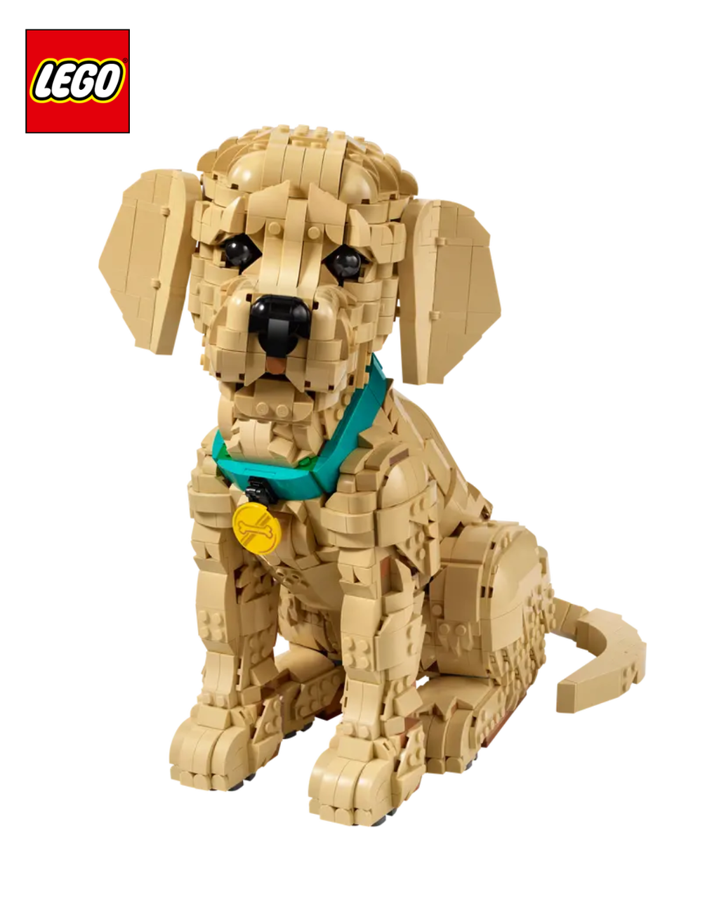 image_3BE813E6-CC21-4106-859D-25AAA6F3BD00_1768918984