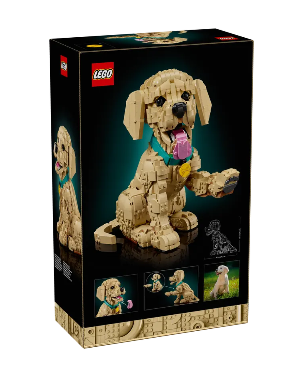 image_A7891EFD-3DC0-46C3-8F58-421011899A02_1768918984